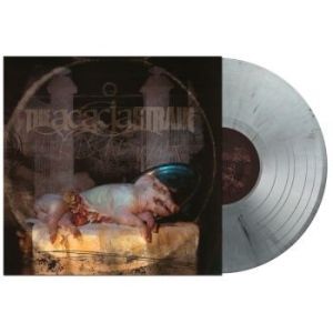 Acacia Strain - Dead Walk (Silver Smoke Vinyl Lp) in the group VINYL / Hårdrock/ Heavy metal at Bengans Skivbutik AB (4156322)