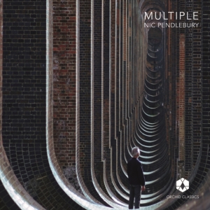 Nic Pendlebury - Multiple in the group Externt_Lager /  at Bengans Skivbutik AB (4156354)
