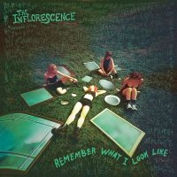 Inflorescence The - Remember What I Look Like (Clear Wi in the group VINYL / Pop-Rock at Bengans Skivbutik AB (4158604)