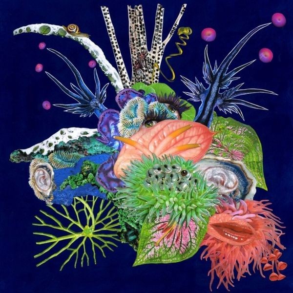 Oæo - Touche in the group CD / Pop at Bengans Skivbutik AB (4158822)