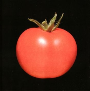 Chronophage - Chronophage in the group VINYL / Pop at Bengans Skivbutik AB (4160622)