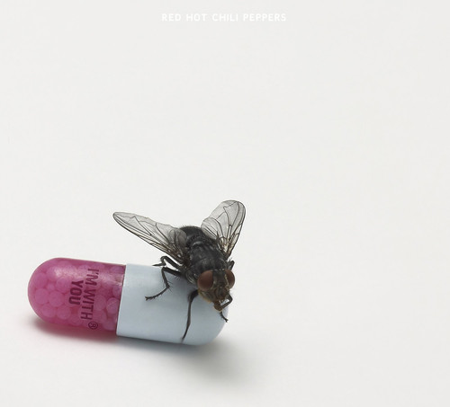 Red Hot Chili Peppers - I'm with you - US Import in the group OTHER / Övrigt / at Bengans Skivbutik AB (4161033)