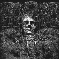 SUICIDE FOREST - RELUCTANTLY in the group CD / Hårdrock at Bengans Skivbutik AB (4161290)