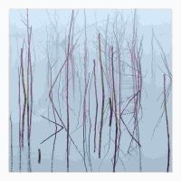 OLHAVA - FROZEN BLOOM in the group CD / Hårdrock/ Heavy metal at Bengans Skivbutik AB (4161292)
