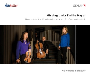 Mayer Emilie - Missing Link in the group Externt_Lager /  at Bengans Skivbutik AB (4162282)
