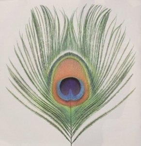 Xtc - Apple Venus (200 G.) in the group VINYL / Pop-Rock at Bengans Skivbutik AB (4162703)