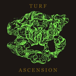 Bubblemath - Turf Ascension in the group CD / Jazz at Bengans Skivbutik AB (4162769)