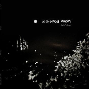 She Past Away - Narin Yalnizlik in the group VINYL / Pop-Rock at Bengans Skivbutik AB (4163055)