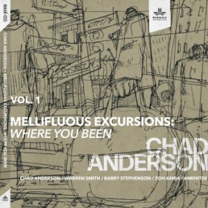 Anderson Chad - Mellifluous Excursions Vol. 1 - Whe in the group CD / Jazz at Bengans Skivbutik AB (4164558)