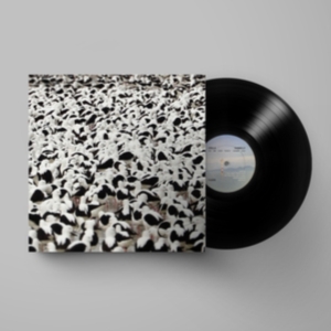 Stella Donnelly - Flood in the group VINYL / Pop-Rock at Bengans Skivbutik AB (4164583)