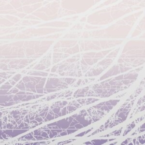 Bertucci Lea - Meta Aether/Resonant Field in the group VINYL / Pop-Rock at Bengans Skivbutik AB (4167107)