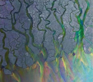 Alt-J - An Awesome Wave in the group CD / Rock at Bengans Skivbutik AB (4171506)