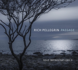 Rich Pellegrin - Passage: Solo Improvisations Ii in the group CD / Jazz at Bengans Skivbutik AB (4171520)