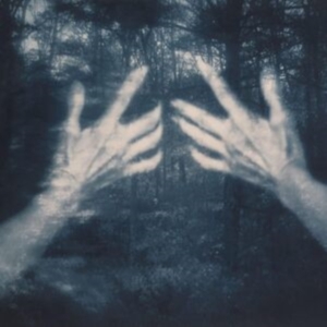 Santos Silva Susana - All The Birds And A Telephone Ringi in the group VINYL / Pop-Rock at Bengans Skivbutik AB (4172172)