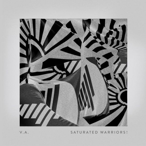 Various Artists - Saturated Warriors! in the group VINYL / Dans/Techno at Bengans Skivbutik AB (4173986)