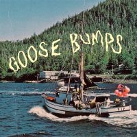 Boyscott - Goose Bumps (Dark Blue & Powder Blu in the group VINYL / Pop-Rock at Bengans Skivbutik AB (4173990)