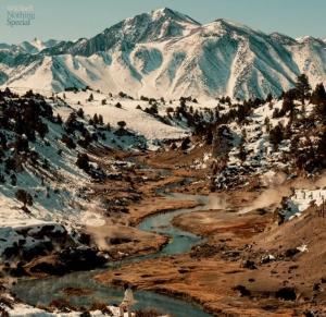 Sheff Will - Nothing Special (Eco Wax) in the group VINYL / Pop-Rock at Bengans Skivbutik AB (4177698)