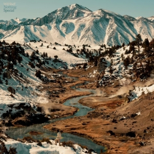 Sheff Will - Nothing Special in the group CD / Pop-Rock at Bengans Skivbutik AB (4177827)