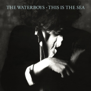 The Waterboys - This Is The Sea in the group VINYL / Pop-Rock at Bengans Skivbutik AB (4178683)