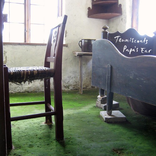 Tenniscoats - Papa's ear in the group CD / Pop at Bengans Skivbutik AB (4178964)
