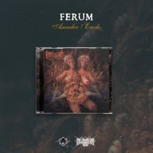Ferum - Asunder / Erode in the group CD / Hårdrock/ Heavy metal at Bengans Skivbutik AB (4179468)