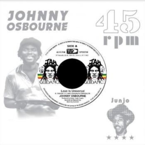 Osbourne Johnny / Roots Radics - Love Is Universal in the group VINYL / Reggae at Bengans Skivbutik AB (4179495)