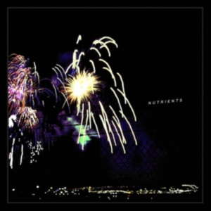 Nutrients - Different Bridges in the group VINYL / Pop-Rock at Bengans Skivbutik AB (4179622)