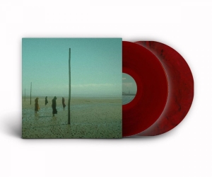 Devils Witches - In All Her Forms (Red/Black Marbled in the group VINYL / Hårdrock at Bengans Skivbutik AB (4180180)