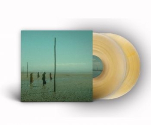 Devils Witches - In All Her Forms (Gold/Clear Marble in the group VINYL / Hårdrock/ Heavy metal at Bengans Skivbutik AB (4180183)
