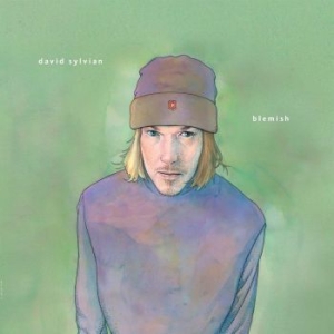 David Sylvian - Blemish in the group OTHER / MK Test 4 at Bengans Skivbutik AB (4180808)