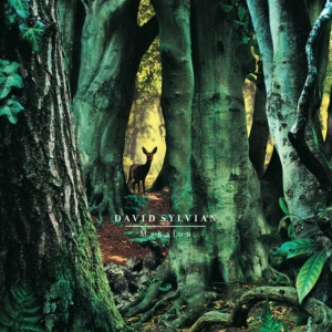 David Sylvian - Manafon in the group VINYL / Pop-Rock at Bengans Skivbutik AB (4180809)