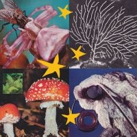 Blandade Artister - All Things Considered Vol 2 in the group VINYL / Bestsellers at Bengans Skivbutik AB (4181975)