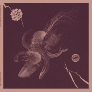 Turner Aaron & Jon Mueller - Now That You've Found It in the group VINYL / Hårdrock at Bengans Skivbutik AB (4182012)