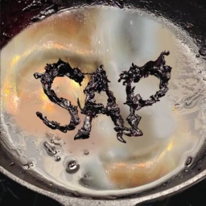 Okay Kaya - Sap in the group VINYL / Pop-Rock at Bengans Skivbutik AB (4182210)