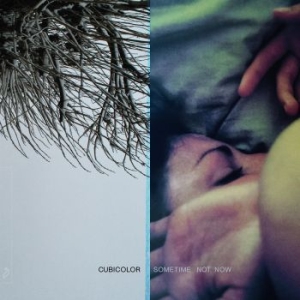 Cubicolor - Sometime Not Now in the group VINYL / Pop at Bengans Skivbutik AB (4182280)