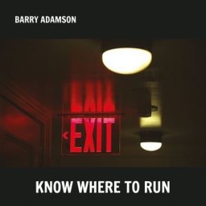 Adamson Barry - Know Where To Run in the group VINYL / Pop at Bengans Skivbutik AB (4182291)