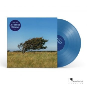 Riis Bjïrn - A Fleeting Glipse (Transparent Blue in the group VINYL / Rock at Bengans Skivbutik AB (4182303)