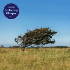 Riis Bjørn - A Fleeting Glipse in the group CD / Pop-Rock at Bengans Skivbutik AB (4182364)