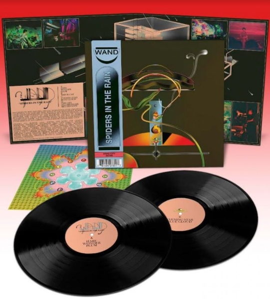 Wand - Spiders In The Rain in the group VINYL / Bestsellers at Bengans Skivbutik AB (4182861)