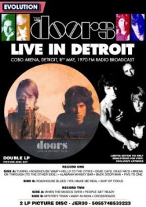 Doors The - Live In Detroit (2 Lp Picture Disc in the group VINYL / Pop-Rock at Bengans Skivbutik AB (4183040)