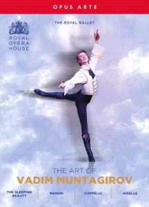 Various - The Art Of Vadim Muntagirov (4Dvd) in the group Externt_Lager /  at Bengans Skivbutik AB (4183338)