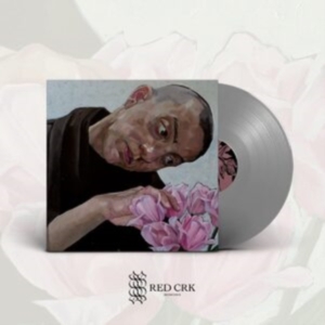 Birds In Row - Gris Klein (Silver Vinyl Lp) in the group VINYL / Pop-Rock at Bengans Skivbutik AB (4184306)