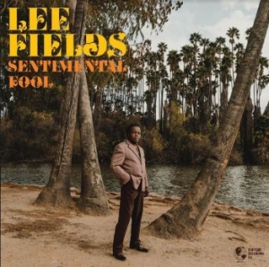 Fields Lee - Sentimental Fool in the group VINYL / RNB, Disco & Soul at Bengans Skivbutik AB (4184503)