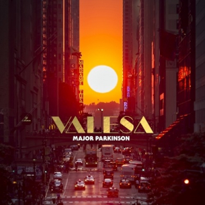 Major Parkinson - Valesa in the group VINYL / Vinyl 2022 at Bengans Skivbutik AB (4185167)