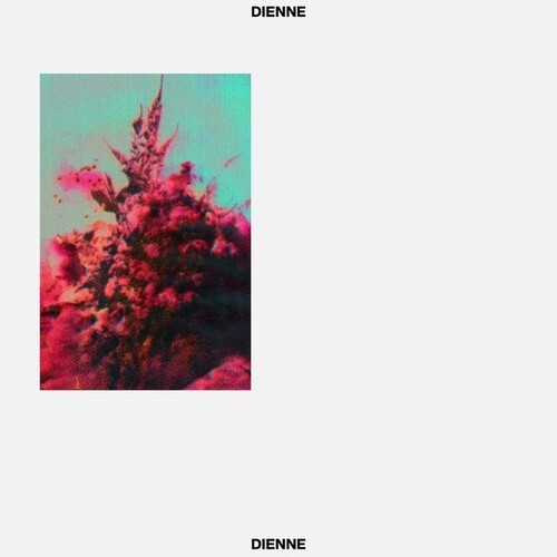 Dienne - Addio in the group VINYL / Dans/Techno at Bengans Skivbutik AB (4185391)