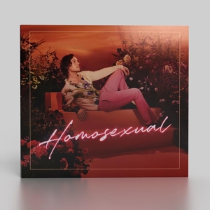 Hayes Darren - Homosexual (Turquoise) in the group VINYL / Pop-Rock at Bengans Skivbutik AB (4185394)