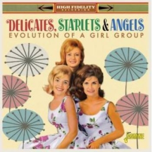 Delicates Starlets & Angles - Evolution Of A Vocal Group in the group CD / Pop at Bengans Skivbutik AB (4185409)