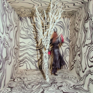 Madison Cunningham - Revealer in the group OTHER / -Start Vinyl-N at Bengans Skivbutik AB (4186022)