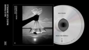 Nils Frahm - Music For Animals in the group CD / Elektroniskt,Övrigt at Bengans Skivbutik AB (4186265)