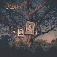 Mönster - Life Science in the group VINYL / Pop-Rock at Bengans Skivbutik AB (4186368)